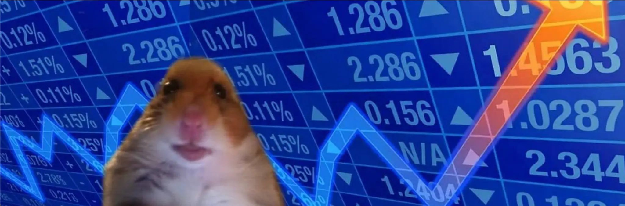 Hamster Cult — The OG Meme